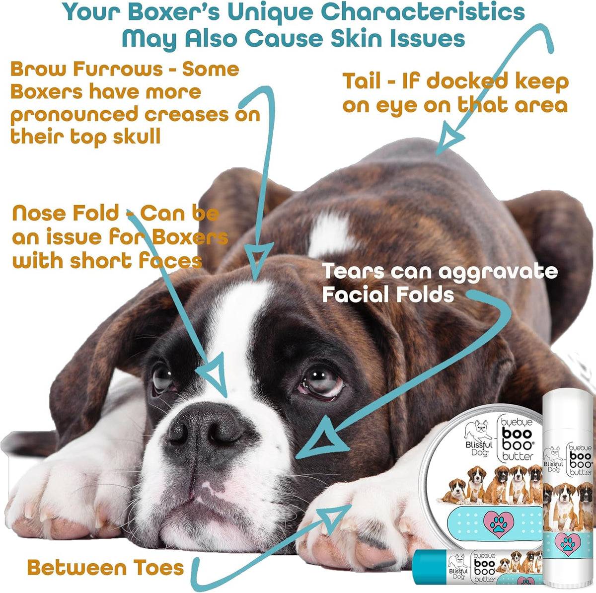 The Blissful Dog Boxer Boo Boo Butter, 16 oz.