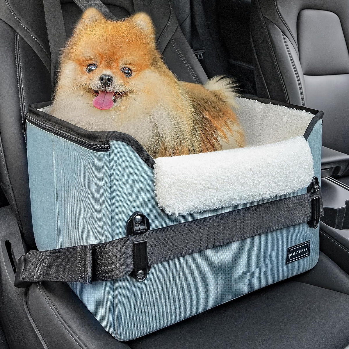 PETSFIT Dog Car Seats for Small Dogs, Patent Safe Buckles Dog Booster Car Seat, Pet Car Seat with Safety Belt, Suitable for Small Pets Up to 25lbs (Mint Green)