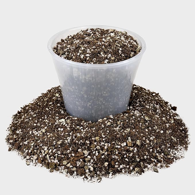 Gardenera African Violets and Gesneriad Premium Soil Mix - Horticultural Perlite (25%) + Vermiculite (25%) + Sphagnum Peat Moss (50%) - Made in USA - (2 Quart Bag)