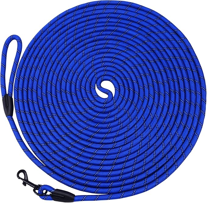 Long Dog Leash for Training 30Ft-Reflective Nylon Rope with Swivel Hook-Recall Agility Lead for Large Small Medium Dogs Outside Walking Hiking-Royal Blue