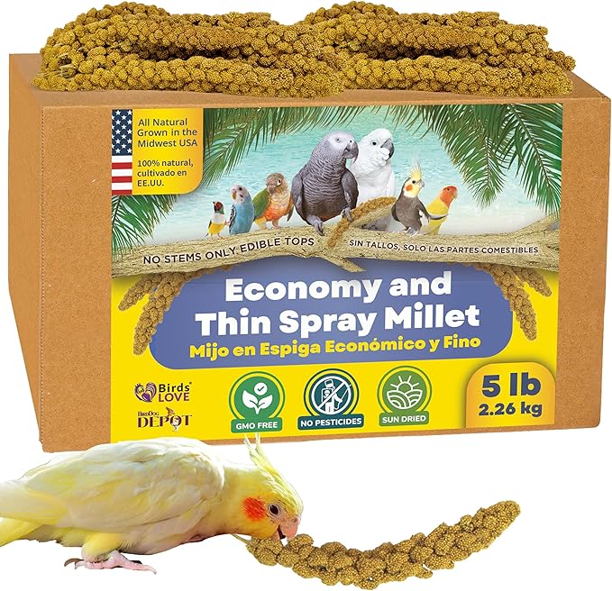 Birds LOVE Economy & Thin Special Spray Millet – 5 lb GMO-Free, No Stems (Only Edible Tops) – Healthy Treat for Cockatiels, Lovebirds, Parakeets, Finches & Canaries