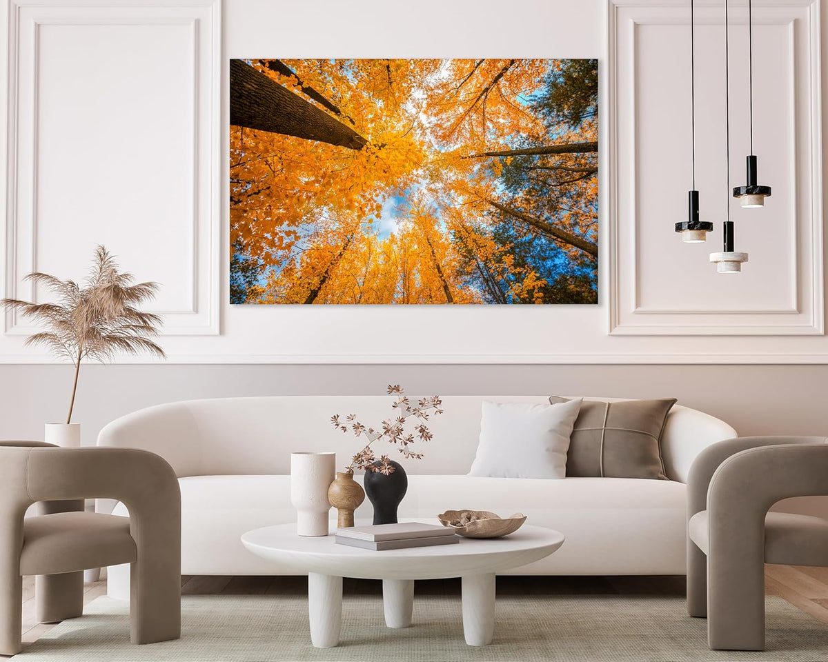 Nature Wall Art Prints - Ocean Forest Mountain Lake Canvas Landscapes - Small to Extra Large Living Room Bedroom Kitchen Bathroom Décor (Blue Sky Through Yellow Autumn Trees, 20L" x 30W")