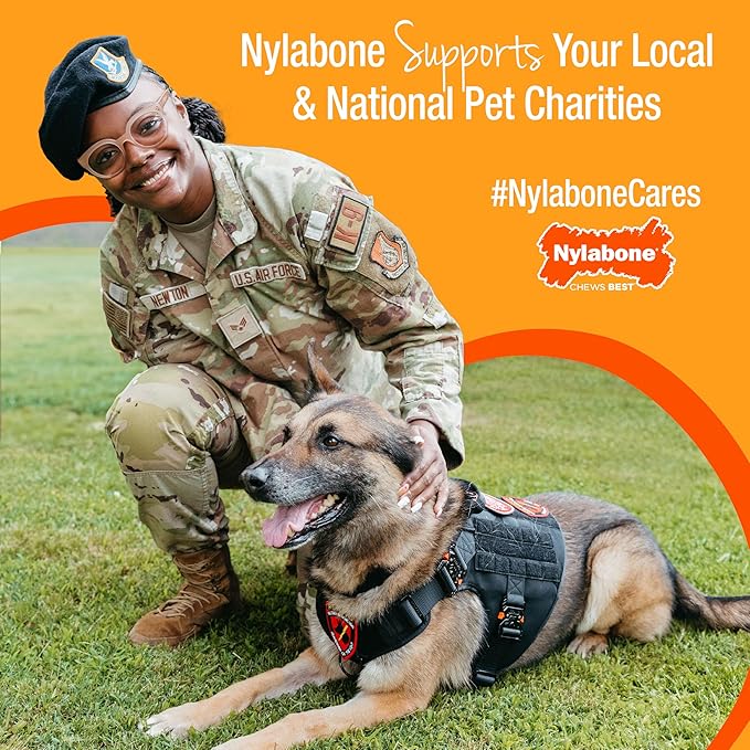Nylabone Healthy Edibles WILD Natural Dog Chew Treats for Large Dogs, Long Lasting Dog Healthy Chew Antler Bone Made in USA, Venison Flavor, For Dogs Up to 50 lbs. (2 Count)