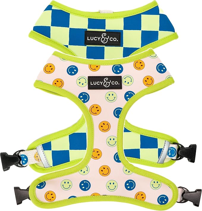 Lucy & Co. Lime Green with Blue Checker Smiley Faces, Cute Reversible Dog Harness Walking Halter - Best Designer Pet Harnesses for XS - XL Dogs - Padded Adjustable Vest for Easy Walking (X-Small)