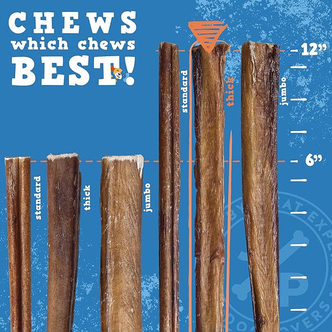Jack&Pup 12 Inch Bully Sticks for Large Dogs | Thick Odor Free Bully Sticks (3 Pack) Long Lasting Bully Sticks for Dogs
