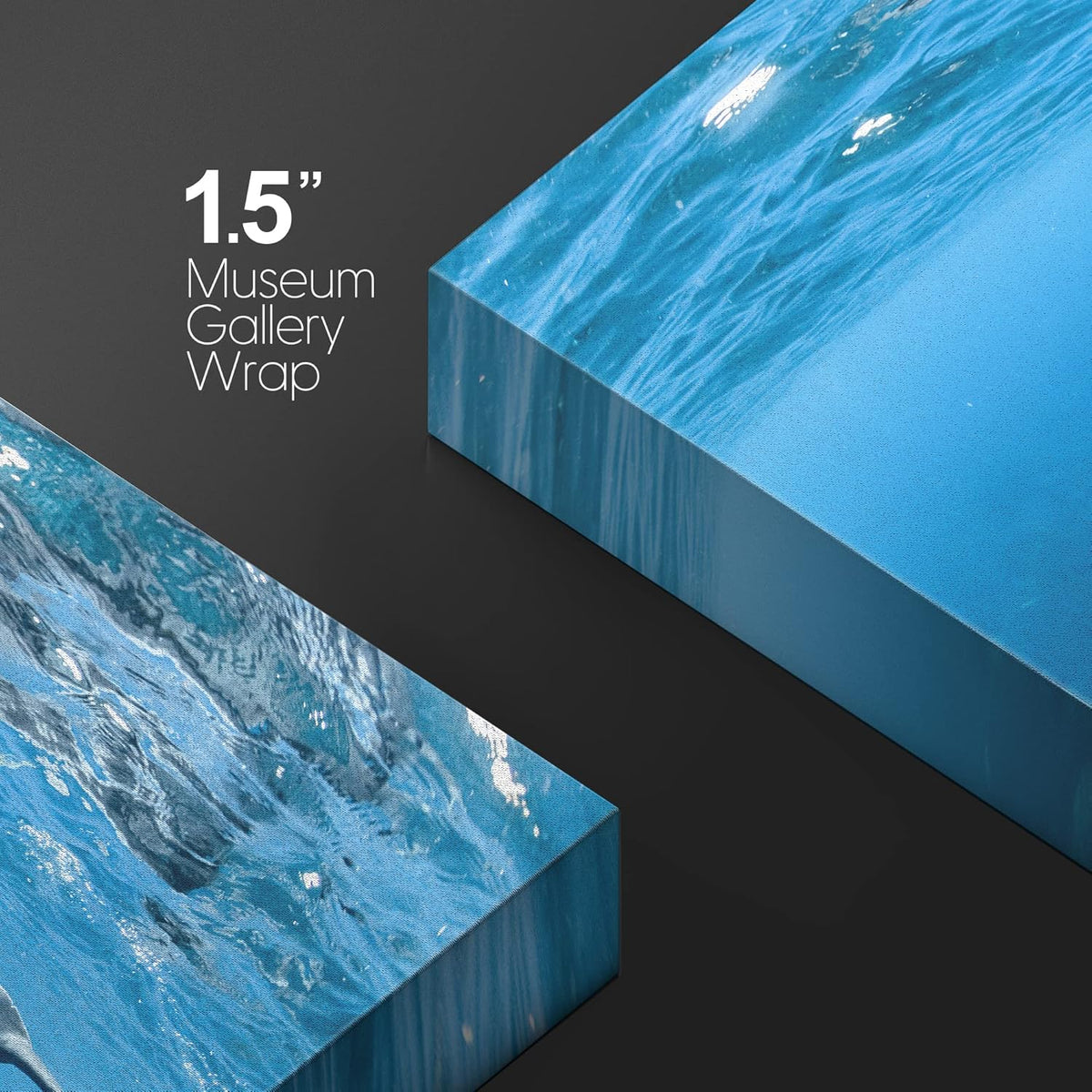 wall26 Canvas Print Wall Art Tropical Ocean Sea Underwater Dolphin Duo Nature Animals Photography Realism Rustic Scenic Landscape Wilderness Earth Colorful for Living Room, Bedroom, Office - 32"x48"