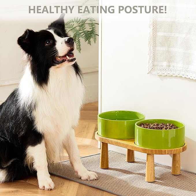 Ceramic Elevated Dog Bowls, Pet Food and Water Bowl Set for Large Dogs, 7.5 Cups Dog Bowls Raised with Wood Stand, 61OZ, Green