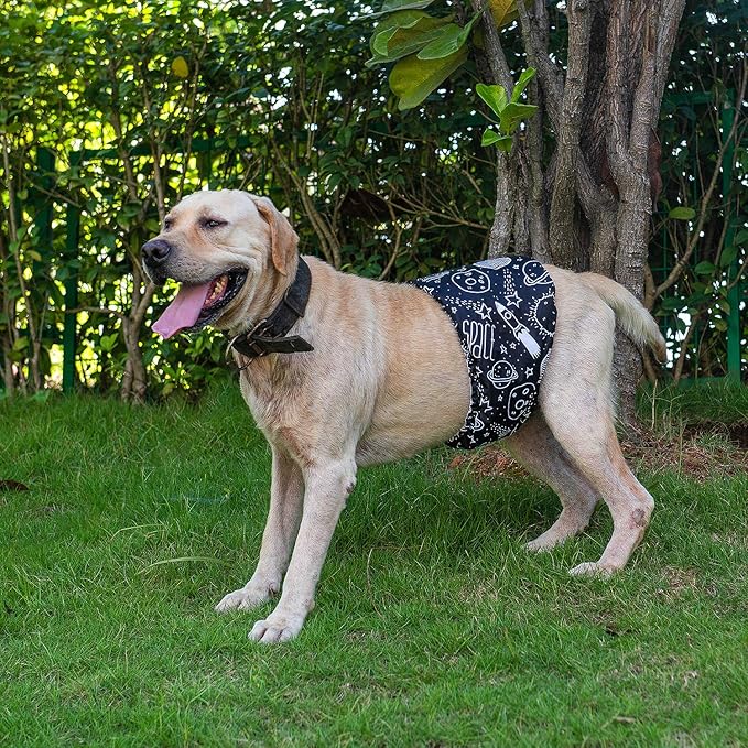 CuteBone Male Washable Dog Diapers Belly Bands 3pcs a Pack DM05L