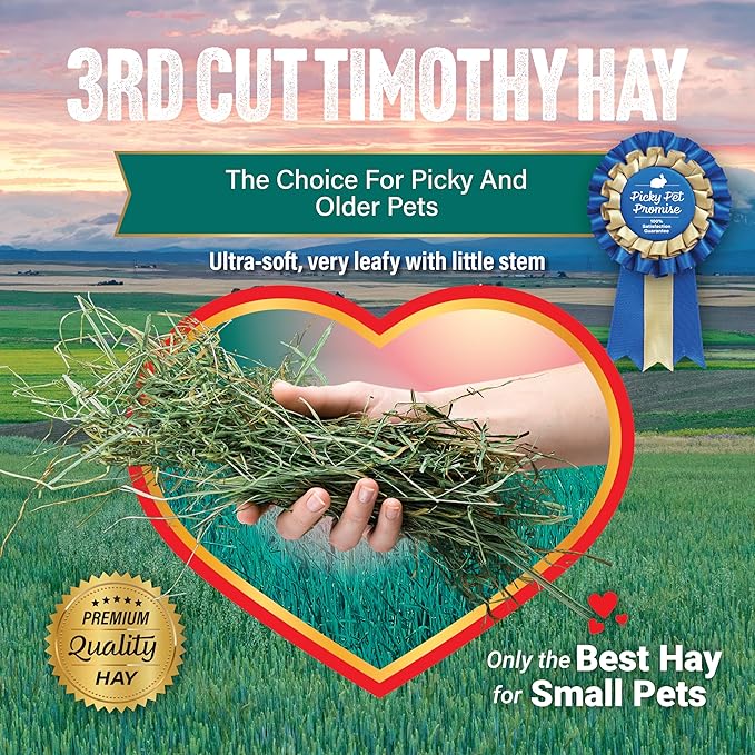 Small Pet Select 3Rd Cutting "Super Soft" Timothy Hay Pet Food, 2 Lb., green, 2 Pound (Pack of 1), 32 Ounce