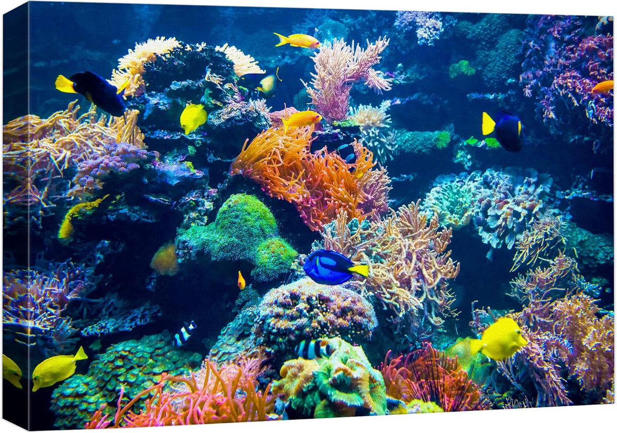 wall26 Canvas Print Wall Art Vibrant Multicolor Coral Reef Fish Ecosystem Nature Animals Photography Realism Rustic Scenic Landscape Wilderness Colorful for Living Room, Bedroom, Office - 24"x36"