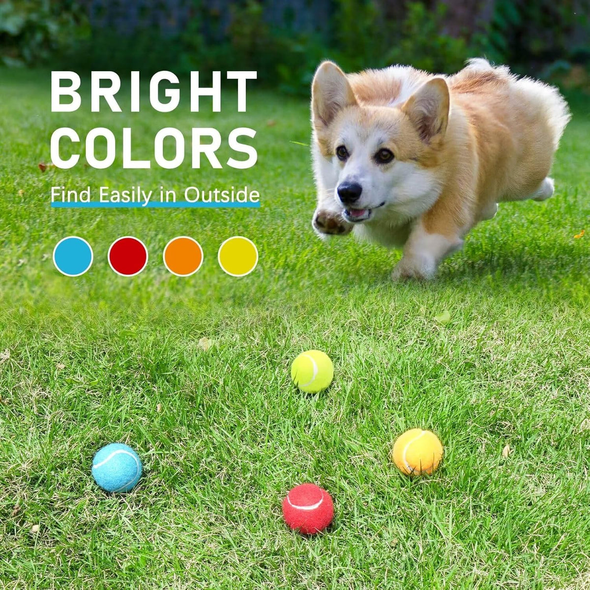 Prime Pets Mini Tennis Balls for Dogs, 2 Inch Squeaky Dog Toys, Interactive Dog Toy Balls for Indoor Outdoor, Squeaky Toys for Small & Medium Dogs