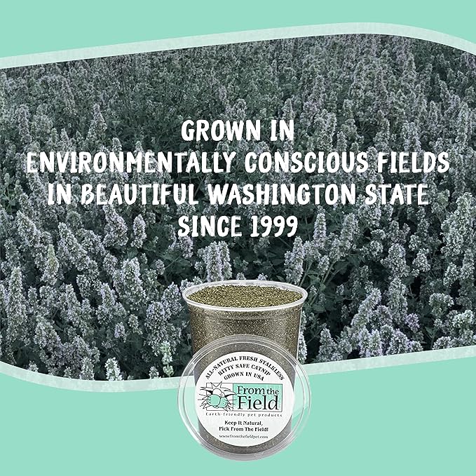 from The Field | Fine Ground Stalkless Catnip | Premium USA-Grown Catnip for Toys & Playtime | Fresh, Potent, Non-Toxic, Eco-Friendly | Safe for Kittens & Cats | Resealable 10 Oz Bag