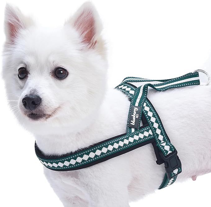 Blueberry Pet 6 Colors Soft & Comfy Jacquard Padded Dog Harness, Chest Girth 21.5" - 27.5", Teal Blue, S/M, Reflective Adjustable Harnesses for Dogs