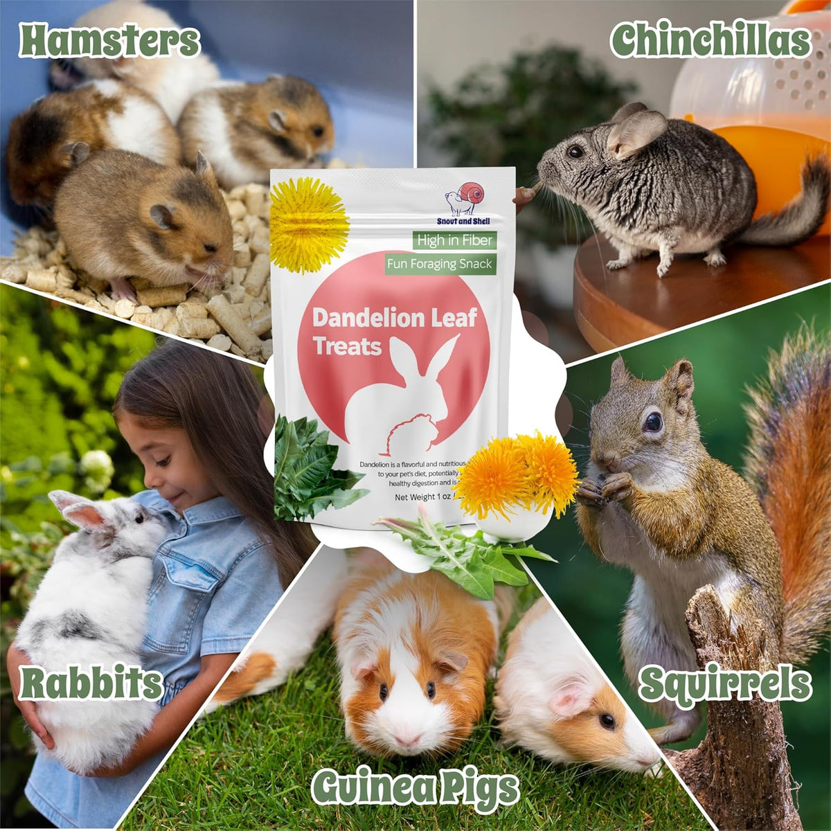 Snout and Shell Dandelion Leaf Treat for Small Pets – 1 oz (28g) | High-Fiber, Natural Foraging Snack for Rabbits, Guinea Pigs, Chinchillas, Squirrels & More