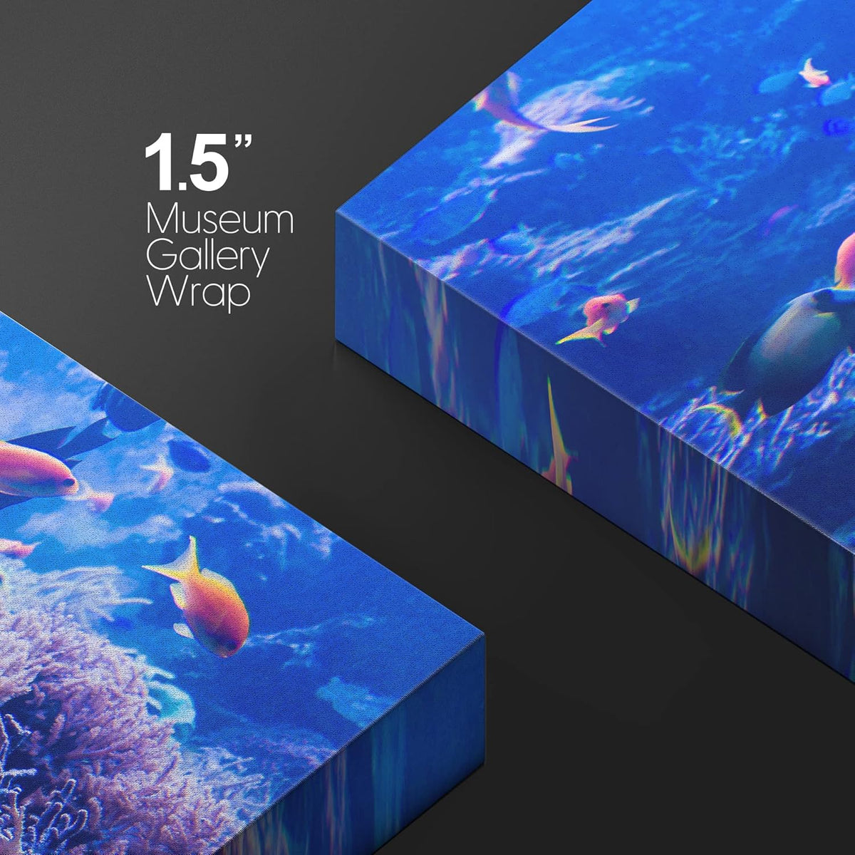 wall26 Canvas Print Wall Art Purple Blue Vibrant Anemone Coral Reef Fish Nature Animals Photography Realism Rustic Scenic Landscape Wilderness Colorful for Living Room, Bedroom, Office - 12"x18"