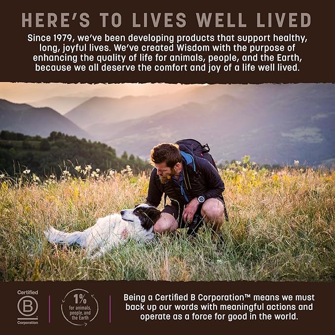 Earth Animal Wisdom Air Dried Dog Food - Turkey Recipe Premium Natural Dry Dog Food for All Breeds & Ages - 2 Lbs Bag