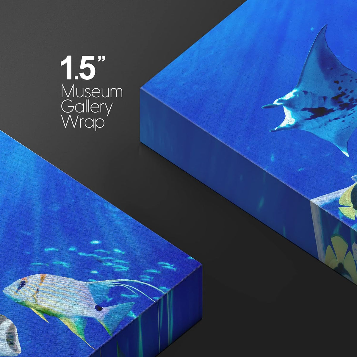 wall26 Canvas Print Wall Art Vibrant Sunlight Ray Ocean Shark Fish Reef Nature Animals Photography Realism Rustic Scenic Landscape Wilderness Earth for Living Room, Bedroom, Office - 12"x18"