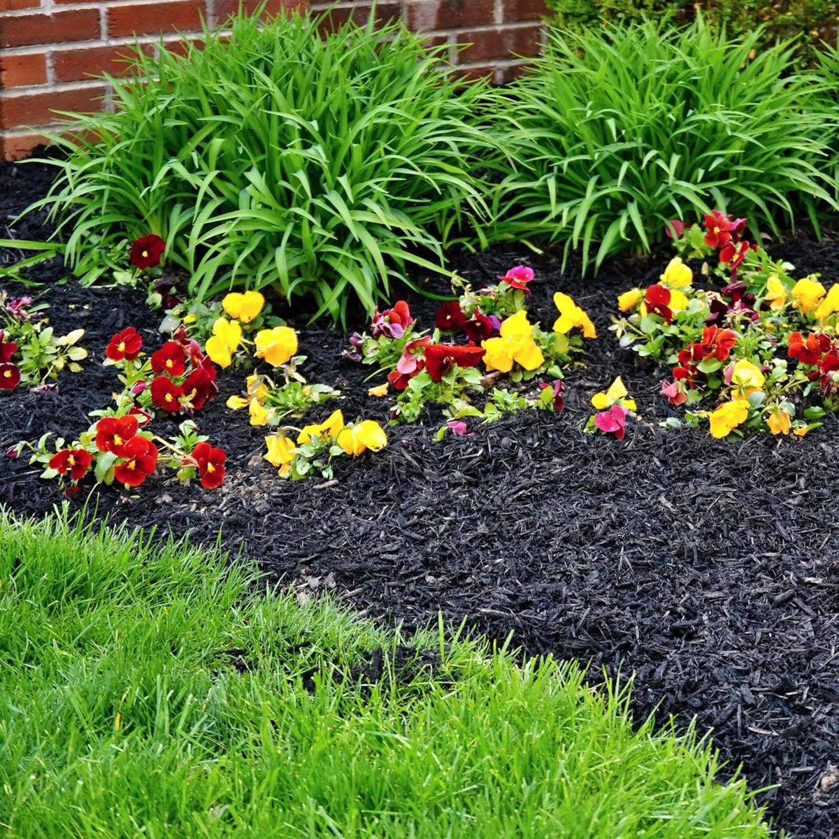 Premium Black Wood Mulch for Landscaping, Gardens, Lawns, Potting Media, and Potted Plants (1 CF - 28 L - 30 QTS)