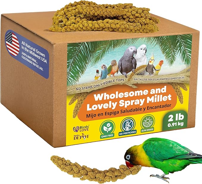 Birds LOVE Wholesome & Lovely Spray Millet Non-GMO for Birds Cockatiel Lovebird Parakeet Finch Canary All Parrots Healthy Treat - 2LBS