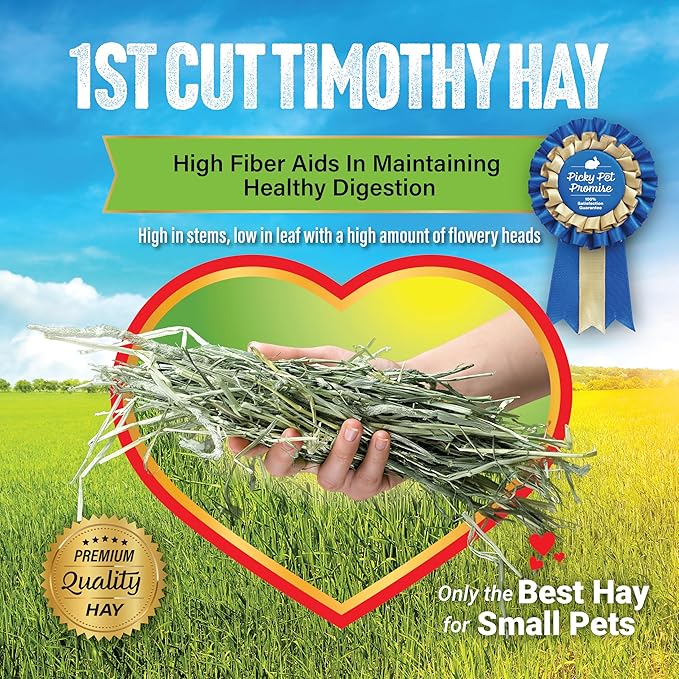 Small Pet Select 1st Cutting Timothy Hay, Animal Food for Guinea Pig, Rabbit, Hamster, Bunny, or Chinchilla, Natural Hay Grown in the USA, 20lb