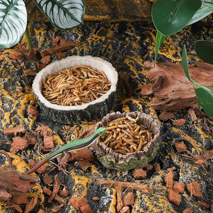 IBWell 2pcs Reptile Water Bowl with Feeding Tweezers - Reptile Food Dish for Lizard, Snake, Tortoise & Small Animals - Wooden Tree Stump