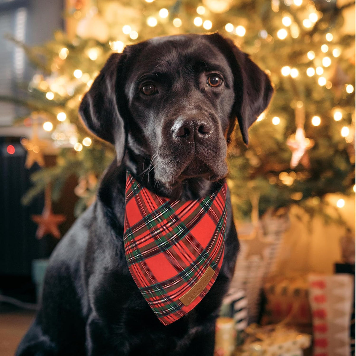 Realeaf Christmas Dog Bandanas 2 Pack, Reversible Red Green Plaid Dog Scarf, Xmas Pet Bandana for Boy and Girl, Premium Durable Fabric, Holiday Check Bandana for Medium and Large Dogs Pets (Large)