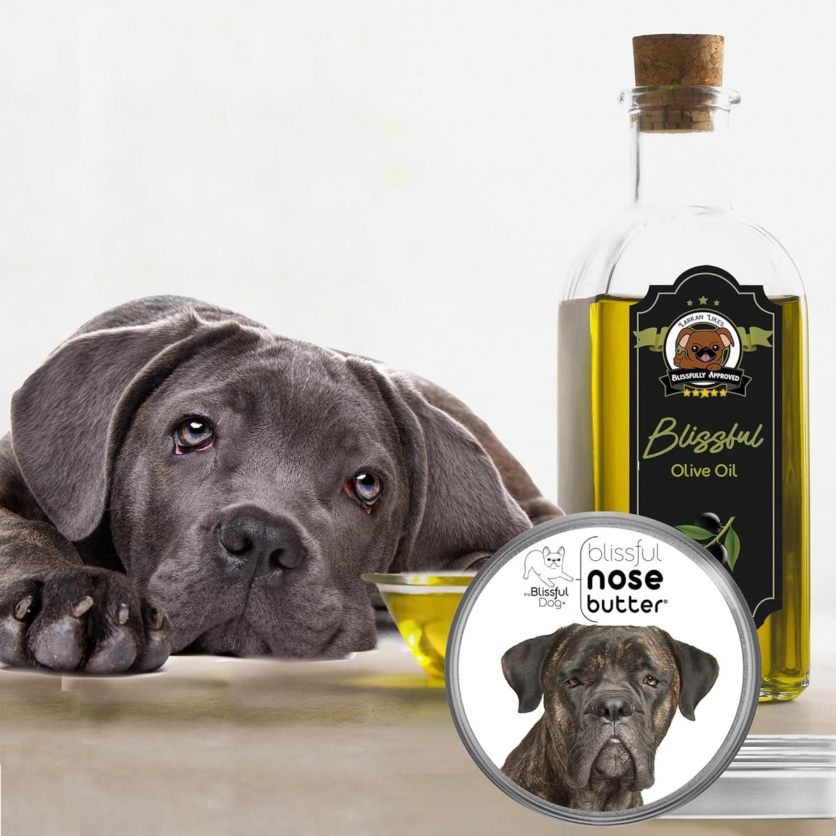 The Blissful Dog Cane Corso Nose Butter for Dry, Cracked Skin, Lick-Safe Dog Nose Balm with Moisturizing Shea Butter, Almond, Olive, and Essential Oils, Pet Supplies, Uncented, 8 oz.