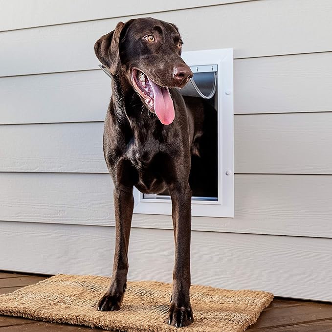 PetSafe Wall Entry Pet Door - Rust-Free Telescoping Frame - Easy Install for Interior & Exterior Walls 4 3/4" - 7" Thick - Large - for Pets Up to 100 Lb