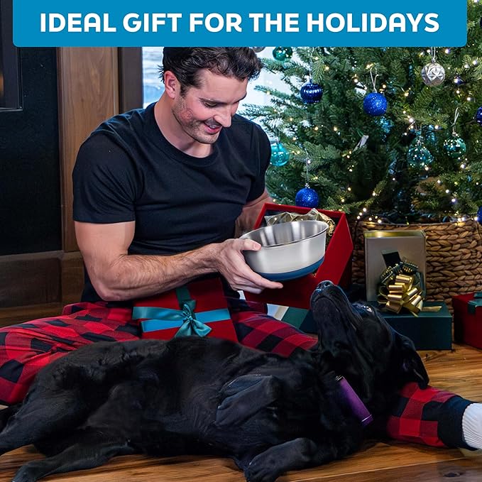 Master Pet Supply Stainless Steel Dog Bowls Set of 2 with Extra Thick Silicone Base - 2 Cup (16 oz) True Blue, Non-Slip, Dishwasher Safe Metal Bowls, Pet Dog Food Bowl for Dogs, Cats, Anti Rust