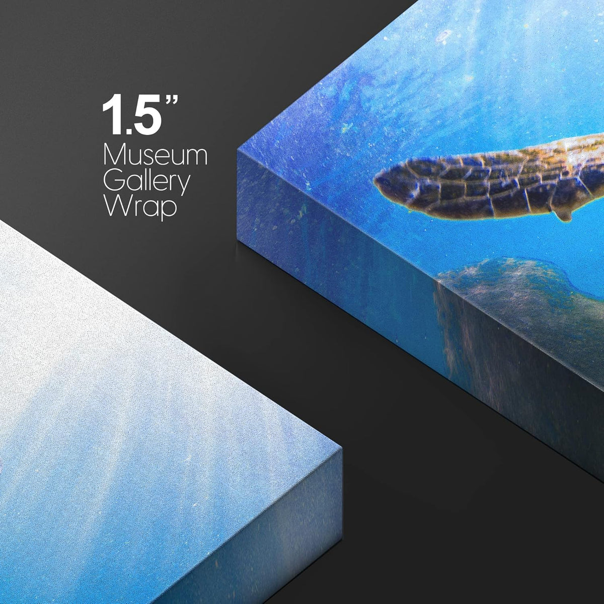 wall26 Canvas Print Wall Art Sunlight Ray Tropical Turtle Swimming Ocean Nature Animals Photography Realism Rustic Scenic Landscape Wilderness Colorful for Living Room, Bedroom, Office - 16"x24"