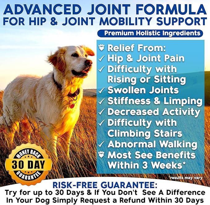 Glucosamine for Dogs - Joint Supplement for Dogs, Made in USA, Vet Developed, Glucosamine Chondroitin, Hip and Joint Chews with MSM, Large Breed, Pain Relief, 120 Chews