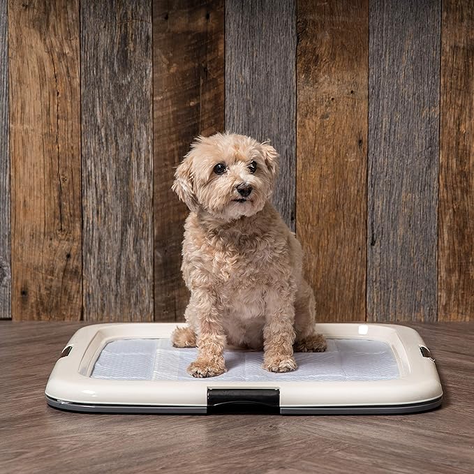 IRIS USA Pee Pad Holder - For Potty Training Regular Sized Dog & Puppy Pee Pads, Secured Latches, Non-Skid Feet, Leak Protection, Fits 22"x22" Pad or Larger, Square, Dark Gray