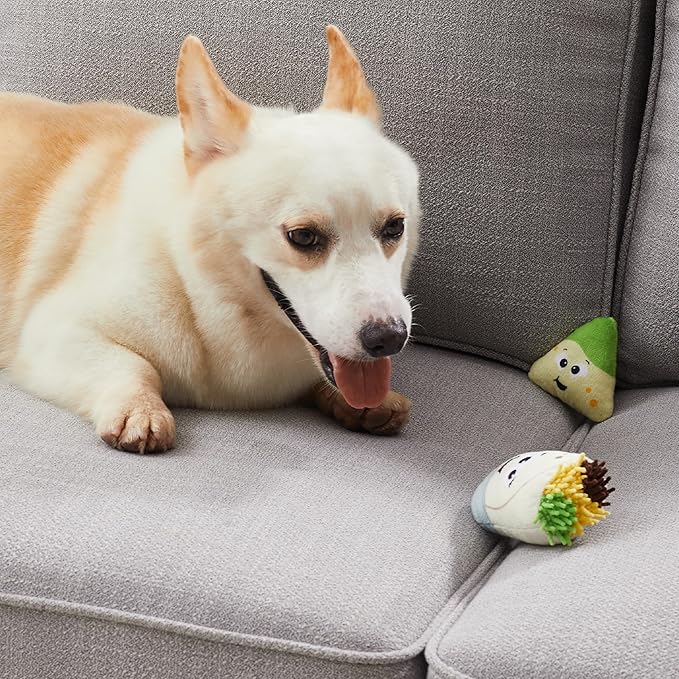 Outward Hound Hide A Taco Plush Dog Toy Puzzle