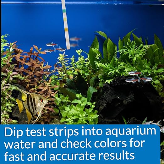 API 5-in-1 Test Strips Freshwater and Saltwater Aquarium Test Strips 25-Count Box