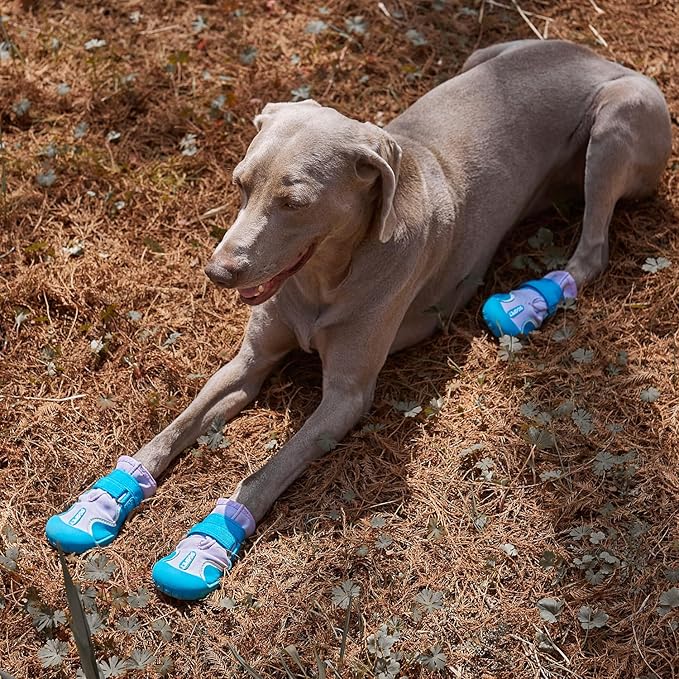 Dog Shoes, Waterproof Dog Boots & Paw Protectors with Anti-Slip Sole, 4pcs/Set Pet Dog Booties, Reflective Dog Shoes for Small Medium Large, Winter Snowy Summer Hot Pavement (Blue, 5# (M))
