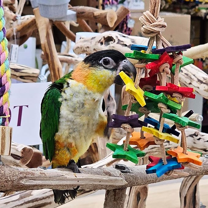 Birds LOVE Wood Stars & Leather Toy for Bird Cage Stand or Playgym, Bird Toys for Small to Medium Parrots, Sun Conures, Green Cheeked Conures, Quakers, Parakeets, Caiques, Cockatiels, African Senegals