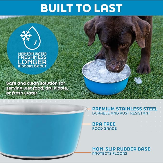 Master Pet Supply Stainless Steel Dog Bowls Set of 2 (128 Oz Each) with Non-Slip Rubber Base - Pistachio - Basic Dog Food Bowl Water & Food Bowls for Small Medium Large Dogs & Cats, Metal Dish