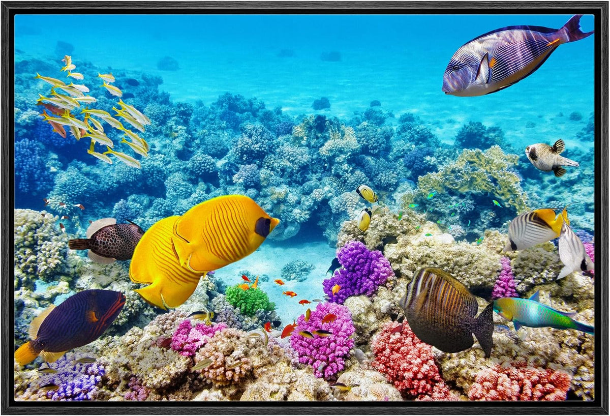 wall26 Framed Canvas Print Wall Art Tropical Underwater Ocean Sea Fish Reef Nature Animals Realism Rustic Scenic Landscape Wilderness Earth Colorful for Living Room, Bedroom, Office - 24"x36" Black