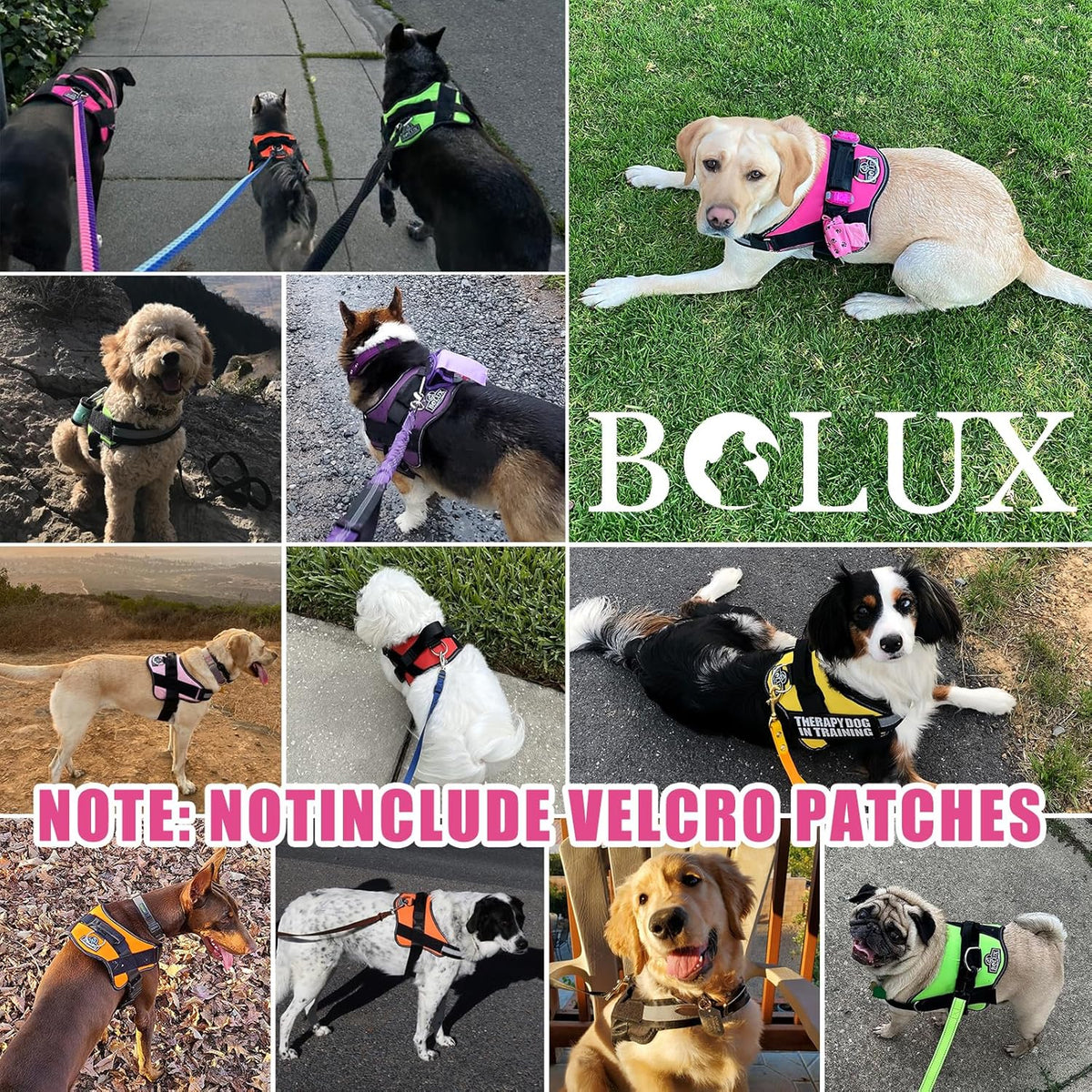 Bolux Dog Harness, No-Pull Reflective Dog Vest, Breathable Adjustable Pet Harness with Handle for Outdoor Walking - No More Pulling, Tugging or Choking (Fuchsia, XX-Large (Pack of 1))