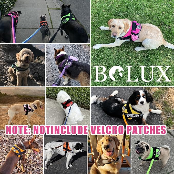 Bolux Dog Harness, No-Pull Reflective Dog Vest, Breathable Adjustable Pet Harness with Handle for Outdoor Walking - No More Pulling, Tugging or Choking (Fuchsia, X-Small (Pack of 1))