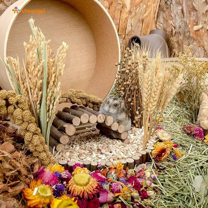 Niteangel Natural & Soft Hamster Bedding Mate Small Animal Habitat Decor for Syrian Dwarf Hamsters Gerbils Mice Degus Bunny or Other Small-Sized Pet