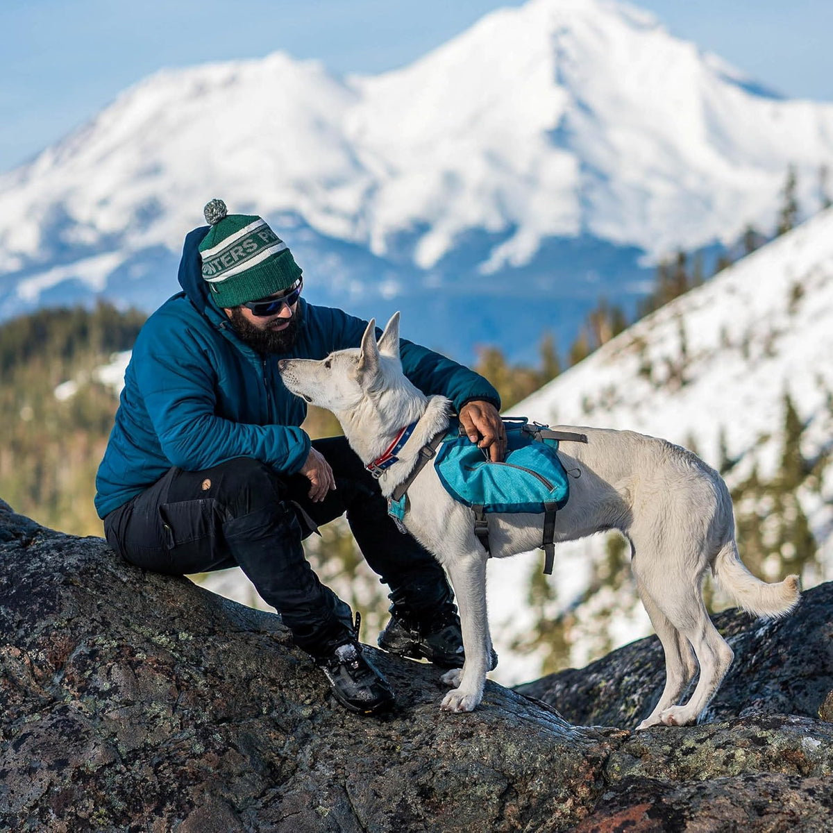 Kurgo Big Baxter Dog Backpack, Dog Saddlebag, Dog Pack, Adjustable Saddlebag for Hiking, Walking, Running, Camping, Chili Red/Barn Red