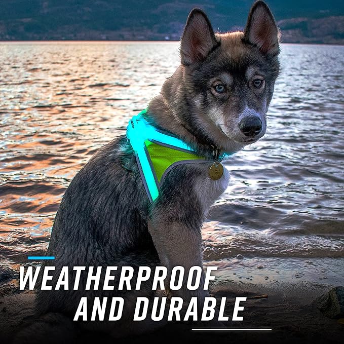 Noxgear LightHound – Revolutionary Illuminated and Reflective Harness for Dogs Including Multicolored LED Fiber Optics (USB Rechargeable, Adjustable, Lightweight, Rainproof) (Large)