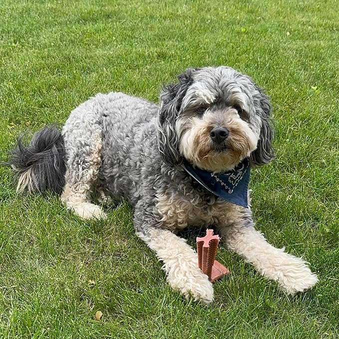 SPOT Bam-Bones Plus T Bone – Bamboo Fiber & Nylon Dog Chew Toy for Moderate to Aggressive Chewers, Durable Long Lasting & Non-Splintering, Beef Flavor Toy for Adult Dogs & Puppies Under 60 lbs, 6 in