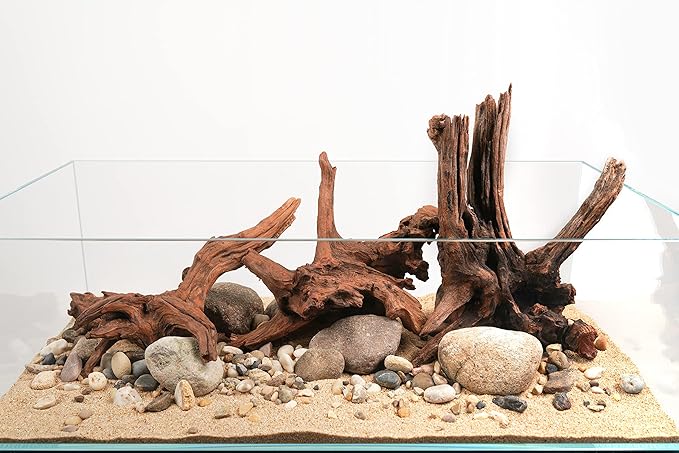 LANDEN Panna Natural Driftwood for Aquarium Decor Freshwater Fish Tank(12-14 inches, 30-35cm) 4pcs Terrariums Vivariums Reptile and Amphibian Enclosures Lizard Bearded Dragon Tortoise Various Shapes