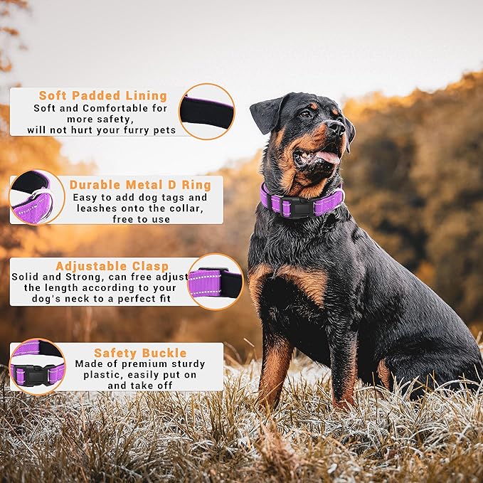 2 Pack Reflective Dog Collar with Safety Locking Buckle, Adjustable Soft Breathable Comfortable Nylon Pet Collar for Small, Medium and Large Dogs, Rosered, XS