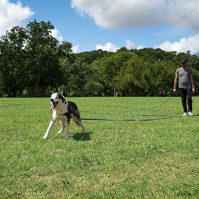 Hi Kiss Dog/Puppy Obedience Recall Training Agility Lead - 15ft 20ft 30ft 50ft 100ft Training Leash - Great for Training, Play, Camping, or Backyard (50 Feet, Red)