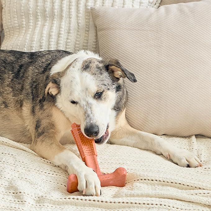 SPOT Bam-Bones Plus T Bone - Bamboo Fiber & Nylon Dog Chew Toy for Moderate to Aggressive Chewers, Non-Splintering, Long-Lasting, 7in Beef Flavor, for Adult Dogs & Teething Puppies Under 90lbs