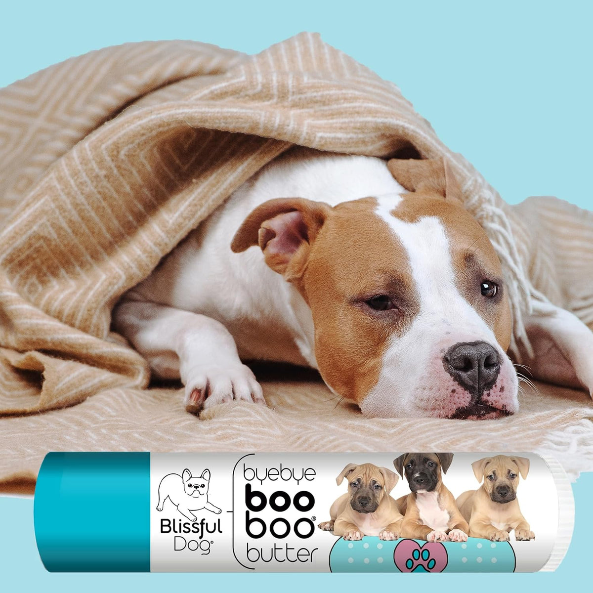 The Blissful Dog .15 oz Tube American Staffordshire Terrier Booboo Butter