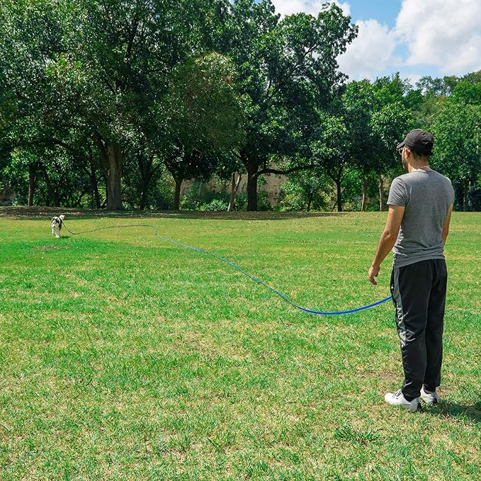 Hi Kiss Dog/Puppy Obedience Recall Training Agility Lead - 15ft 20ft 30ft 50ft 100ft Leash - Great for Play, Camping, or Backyard - Orange